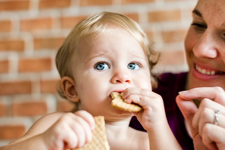 hozzátáplálás könyv