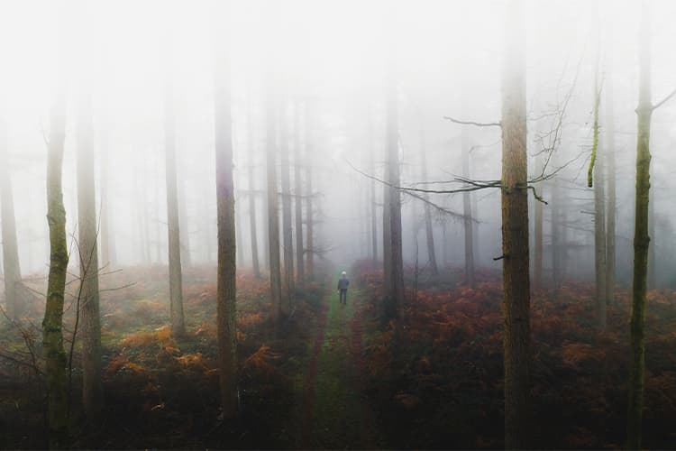 legjobb dark fantasy könyvek
